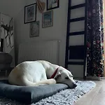 Folkowe Podgorze Apartment Szklarska Poreba