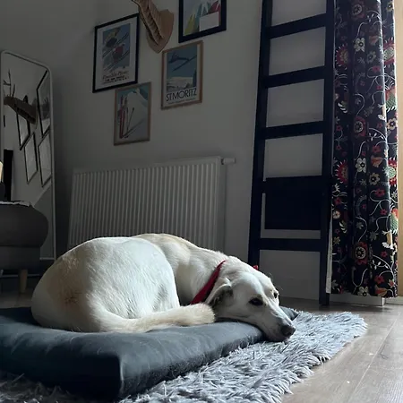 Folkowe Podgorze דירה שצ'קלארסקה פוראובה