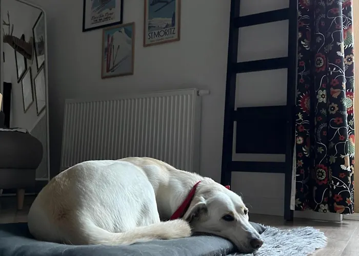 Folkowe Podgorze Appartement Szklarska Poręba